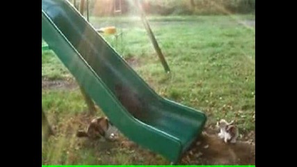 Котета На Пързалка - Смях