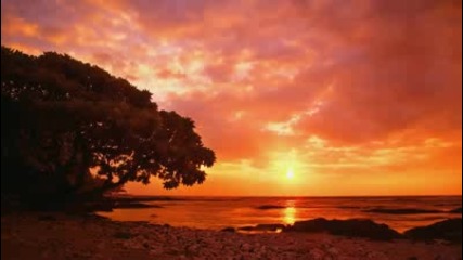 Gary Moore - The Loner (by Robert U) Hd 720