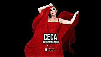 Ceca Raznatovic - Gde cu sad, moja ruzo.mp4