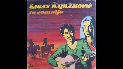 saban bajramovic