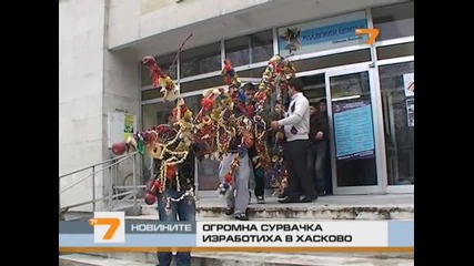 Огромна сурвачка изработиха в Хасково