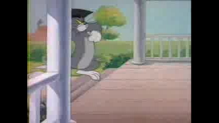 Tom And Jerry - 037