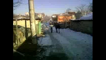 Коня на Яшар - Императора