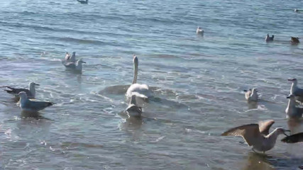 Varna - Black Sea Coast today 020