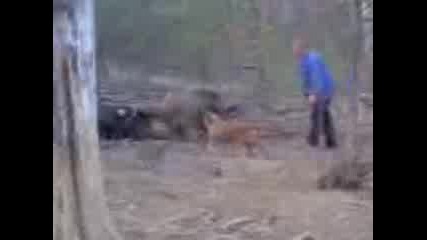 Видео014.3gp
