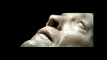 Alice in Chains - A Looking In View Trailer