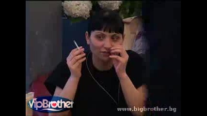 Vip Brother 3 Планове за лятото 