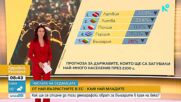 В края на века българите ще бъдем под 5 млн. души, сочат данни на Евростат