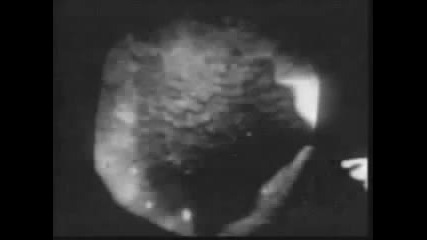 Creedence Clearwater Revival - Have you ever seen the rain