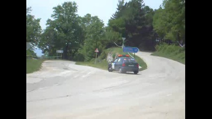 Рали вида 2009