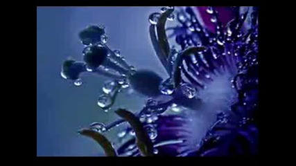 Chris Spheeris - Eros Rain