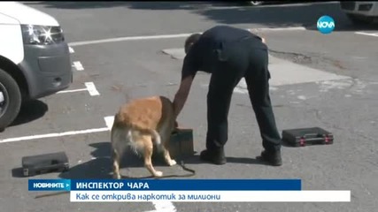 Запознайте се с инспектор Чара