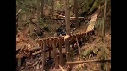 extreme downhill - freeride - mtb Dh new world disorder