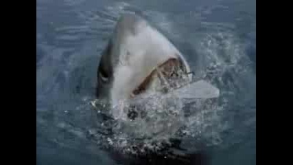 Трейлър На Shark Attack 3 Megalodon Ujasi