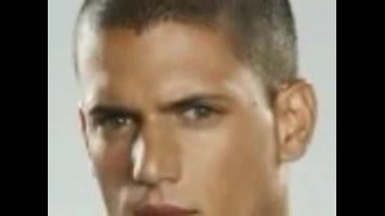 Wentworth Miller The Model