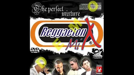 Reggaeton Mix (prod. By Dj Ivo) 2008