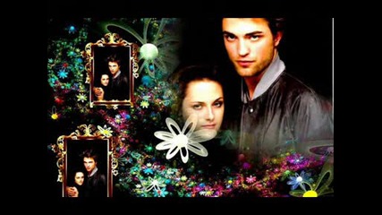 Te Amo Twilight