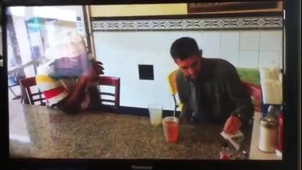 Динамо - Трик с студен чай !