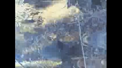 Видео001.3gp