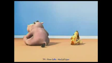 Hippo fart annoys dog 