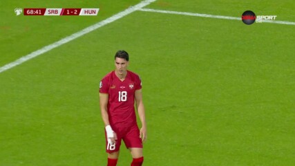 Сърбия - Унгария 1:2 /репортаж/