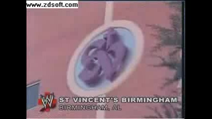 Wwe Emergency Room Triple H
