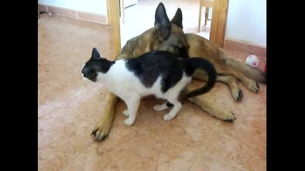 Много добри приятели...