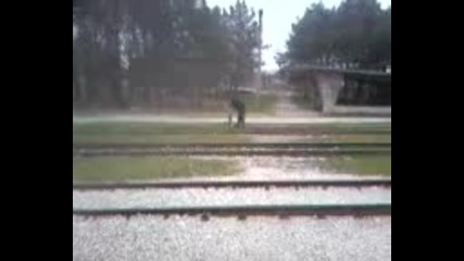 Видео - 0004