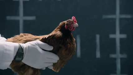 Jaguar се гаври с реклама на Mercedes - ягуар срещу кокошка