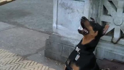 Бутонът за заглушаване