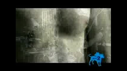 Aborted - The Chondrin Enigma
