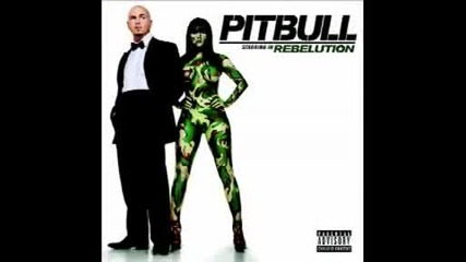 Pitbull feat Akon - shut it down 