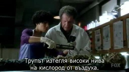 Fringe s04e03 + Bg sub