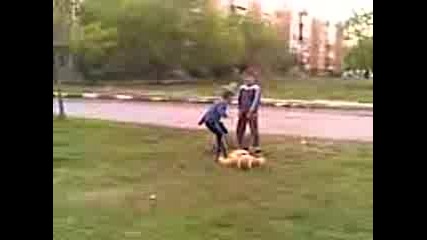 Best Friends