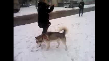 Кензо :)