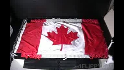 Знамето на Канада на правено от домино