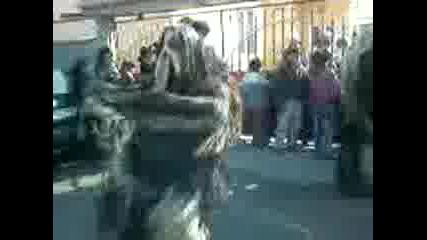 Ludite Kukeri 2009