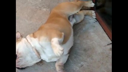 Mark (the Fat) part Ii