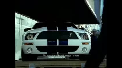 Forg Mustang Shelby Gt 500 