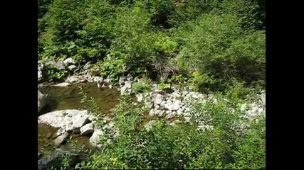 La drum, pe meleaguri valcene !