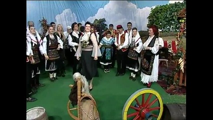 Saska Karan - Dacu dacu