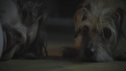 Dog Wick - (john wick) Hd Trailer 2017