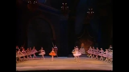 The Sleeping Beauty Kirov/marinsky Ballet 8