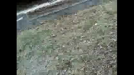 V1156_13-10-12