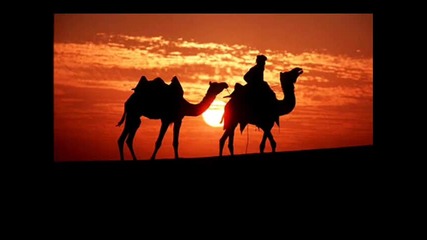 dj Nickodemus - Desert Dancer (zeb_s Slow Camel Ride Remix)