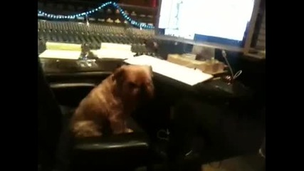 The Editing Process 