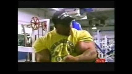 Biceps...