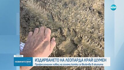 Продължават опитите за залавяне на големия хищник в Шуменско