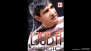Ljuba Alicic - Kurva - (Audio 2008)