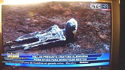 Сензация: Реална мумия на Извънземен намерена в Перу